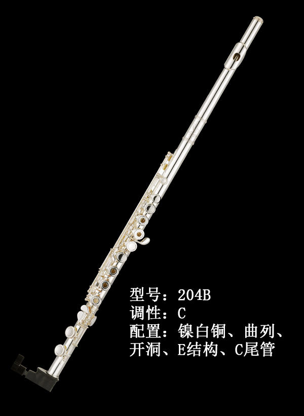 AIDIS长笛204B
