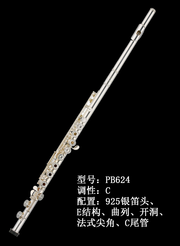 AIDIS长笛PB624