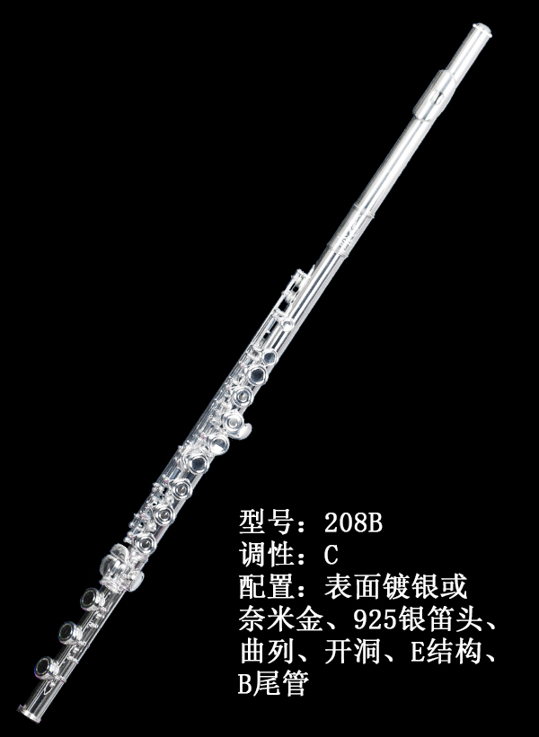 AIDIS长笛208B