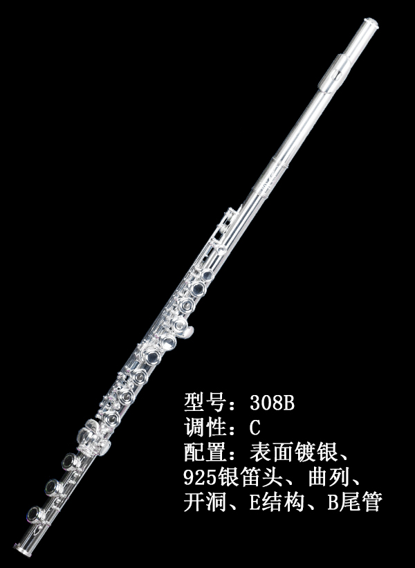 AIDIS长笛308B