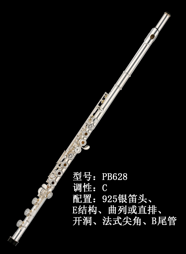 AIDIS长笛PB628
