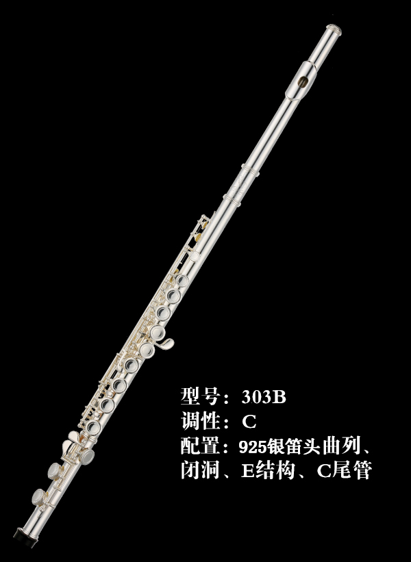 AIDIS长笛303B