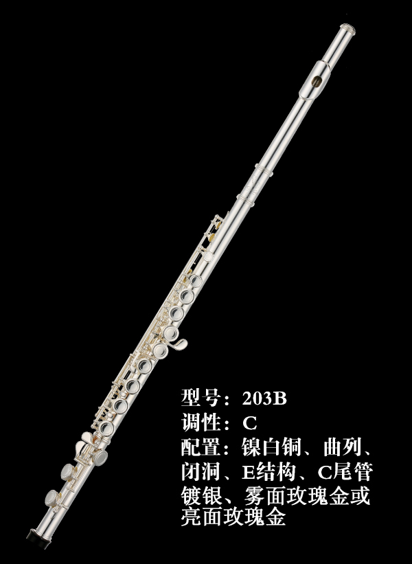 AIDIS长笛203B